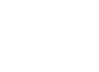 Premier Agers Logo-Light